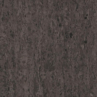Линолеум Tarkett iq Optima DARK BROWN 0900 фото 1 | FLOORDEALER